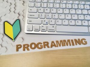 【中学生向け】プログラミングは独学できるの？勉強方法は？